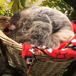 Meet your Posher, Bethany